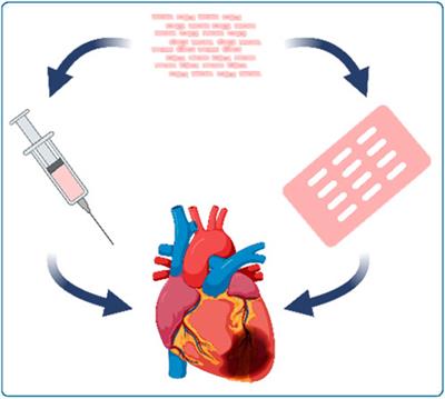 Non-human primate studies for cardiomyocyte transplantation—ready for translation?